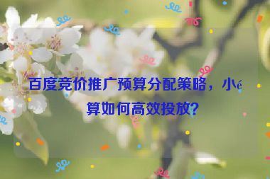 百度競價(jià)推廣預(yù)算分配策略，小預(yù)算如何高效投放？