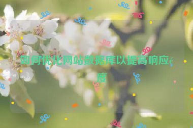 如何優(yōu)化網(wǎng)站數(shù)據(jù)庫以提高響應(yīng)速度