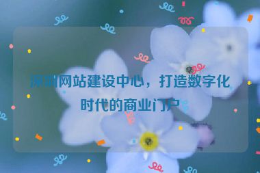 深圳網(wǎng)站建設(shè)中心，打造數(shù)字化時(shí)代的商業(yè)門(mén)戶