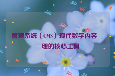 管理系統(tǒng)（CMS）現(xiàn)代數(shù)字內(nèi)容管理的核心工具