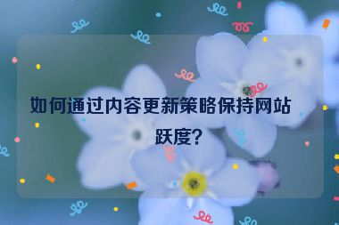 如何通過內(nèi)容更新策略保持網(wǎng)站活躍度？