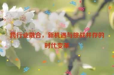 跨行業(yè)融合，新機(jī)遇與挑戰(zhàn)并存的時(shí)代變革