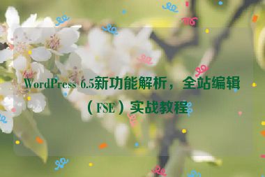 WordPress 6.5新功能解析，全站編輯（FSE）實(shí)戰(zhàn)教程