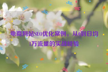 電商網(wǎng)站SEO優(yōu)化案例，從0到日均1萬(wàn)流量的實(shí)戰(zhàn)經(jīng)驗(yàn)