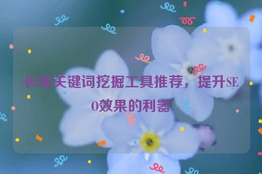 長尾關(guān)鍵詞挖掘工具推薦，提升SEO效果的利器