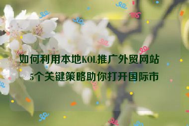 如何利用本地KOL推廣外貿(mào)網(wǎng)站？5個關(guān)鍵策略助你打開國際市場