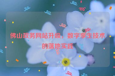 佛山政務(wù)網(wǎng)站升級(jí)，數(shù)字孿生技術(shù)的落地實(shí)踐
