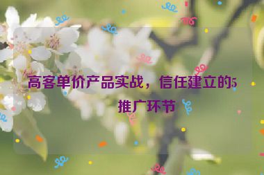 高客單價(jià)產(chǎn)品實(shí)戰(zhàn)，信任建立的5個(gè)推廣環(huán)節(jié)