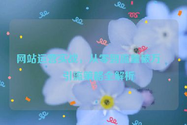 網(wǎng)站運營實戰(zhàn)，從零到流量破萬的引流策略全解析