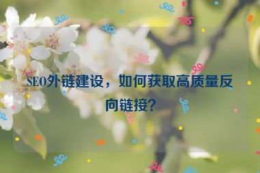 SEO外鏈建設，如何獲取高質(zhì)量反向鏈接？