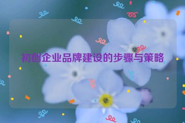 初創(chuàng)企業(yè)品牌建設(shè)的步驟與策略