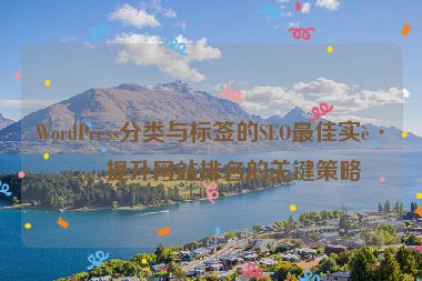 WordPress分類與標(biāo)簽的SEO最佳實(shí)踐，提升網(wǎng)站排名的關(guān)鍵策略