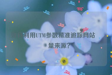 如何利用UTM參數(shù)精準追蹤網(wǎng)站流量來源？