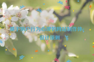 基于用戶行為心理的網(wǎng)站制作體驗(yàn)設(shè)計(jì)原則
