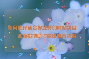 如何選擇適合你業(yè)務(wù)的網(wǎng)站類型？全面指南助你做出明智決策
