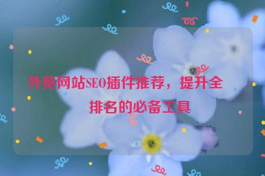 外貿(mào)網(wǎng)站SEO插件推薦，提升全球排名的必備工具