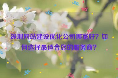 深圳網(wǎng)站建設優(yōu)化公司哪家好？如何選擇最適合您的服務商？