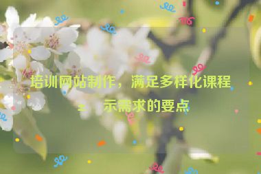 培訓(xùn)網(wǎng)站制作，滿足多樣化課程展示需求的要點(diǎn)