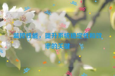 監(jiān)控性能，提升系統(tǒng)穩(wěn)定性和效率的關(guān)鍵