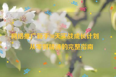 網(wǎng)絡(luò)推廣新手30天實(shí)戰(zhàn)成長(zhǎng)計(jì)劃，從零到精通的完整指南