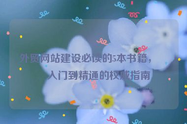 外貿(mào)網(wǎng)站建設(shè)必讀的5本書籍，從入門到精通的權(quán)威指南
