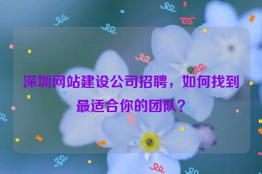 深圳網(wǎng)站建設(shè)公司招聘，如何找到最適合你的團(tuán)隊？