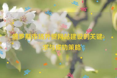 俄羅斯市場外貿網站建設的關鍵要求與成功策略