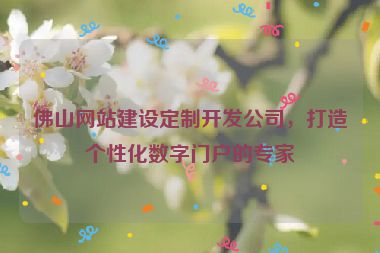 佛山網(wǎng)站建設(shè)定制開發(fā)公司，打造個性化數(shù)字門戶的專家