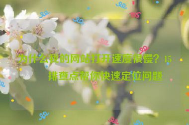 為什么我的網(wǎng)站打開(kāi)速度很慢？15個(gè)排查點(diǎn)幫你快速定位問(wèn)題
