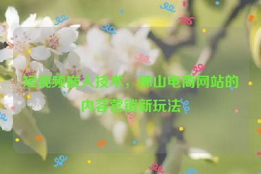 短視頻嵌入技術(shù)，佛山電商網(wǎng)站的內(nèi)容營銷新玩法