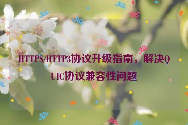 HTTPS/HTTP3協(xié)議升級(jí)指南，解決QUIC協(xié)議兼容性問(wèn)題