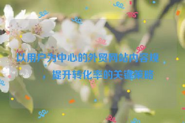 以用戶為中心的外貿網站內容規(guī)劃，提升轉化率的關鍵策略