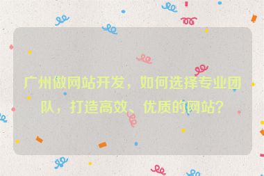 廣州做網(wǎng)站開(kāi)發(fā)，如何選擇專業(yè)團(tuán)隊(duì)，打造高效、優(yōu)質(zhì)的網(wǎng)站？