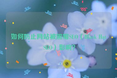 如何防止網(wǎng)站被黑帽SEO（Black Hat SEO）影響？