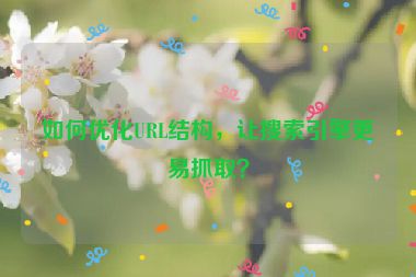 如何優(yōu)化URL結(jié)構(gòu)，讓搜索引擎更易抓?。?></a></div>    <div   id=