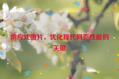 響應式圖片，優(yōu)化現(xiàn)代網頁性能的關鍵