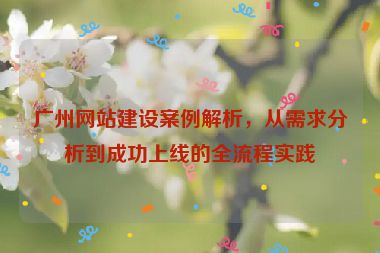 廣州網(wǎng)站建設(shè)案例解析，從需求分析到成功上線的全流程實踐