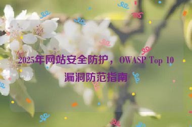 2025年網(wǎng)站安全防護(hù)，OWASP Top 10漏洞防范指南