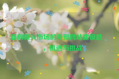 面向新興市場的外貿網站建設趨勢，機遇與挑戰(zhàn)
