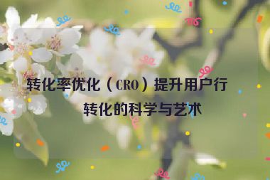轉(zhuǎn)化率優(yōu)化（CRO）提升用戶行為轉(zhuǎn)化的科學(xué)與藝術(shù)