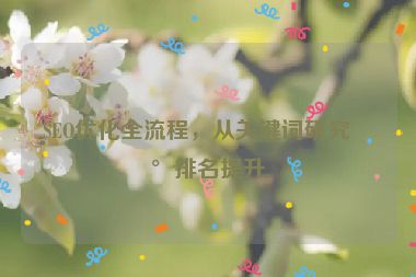SEO優(yōu)化全流程，從關(guān)鍵詞研究到排名提升