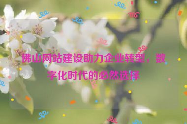 佛山網(wǎng)站建設助力企業(yè)轉(zhuǎn)型，數(shù)字化時代的必然選擇
