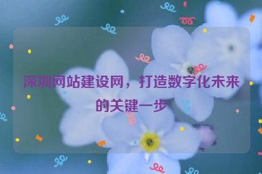 深圳網(wǎng)站建設(shè)網(wǎng)，打造數(shù)字化未來的關(guān)鍵一步