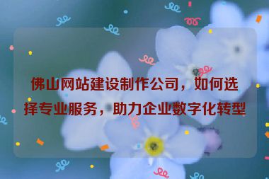 佛山網(wǎng)站建設(shè)制作公司，如何選擇專業(yè)服務(wù)，助力企業(yè)數(shù)字化轉(zhuǎn)型