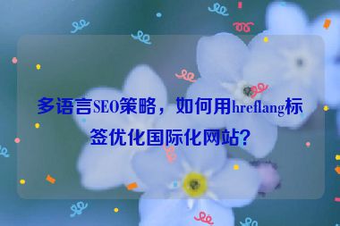 多語言SEO策略，如何用hreflang標(biāo)簽優(yōu)化國際化網(wǎng)站？