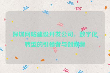 深圳網(wǎng)站建設(shè)開(kāi)發(fā)公司，數(shù)字化轉(zhuǎn)型的引領(lǐng)者與創(chuàng)新者