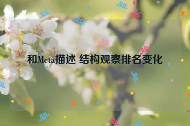 和Meta描述 結(jié)構(gòu)觀察排名變化