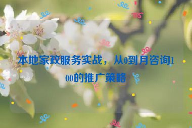 本地家政服務(wù)實(shí)戰(zhàn)，從0到月咨詢100的推廣策略