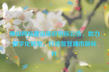 佛山網(wǎng)站建設(shè)項(xiàng)目招標(biāo)公告，助力數(shù)字化轉(zhuǎn)型，打造智慧城市新標(biāo)桿