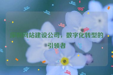 深圳網(wǎng)站建設(shè)公司，數(shù)字化轉(zhuǎn)型的引領(lǐng)者